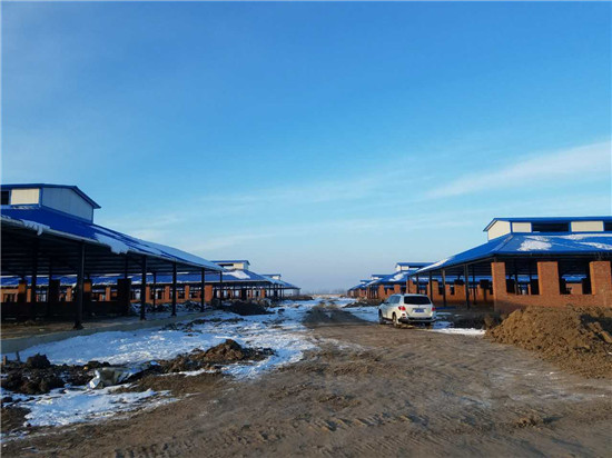 首页- J9集团国际站官网入口