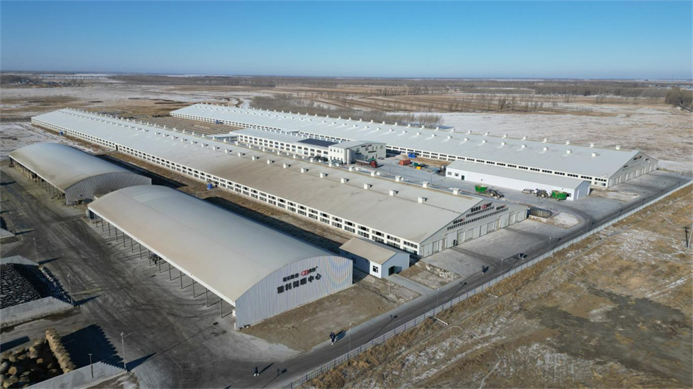 首页- J9集团国际站官网入口