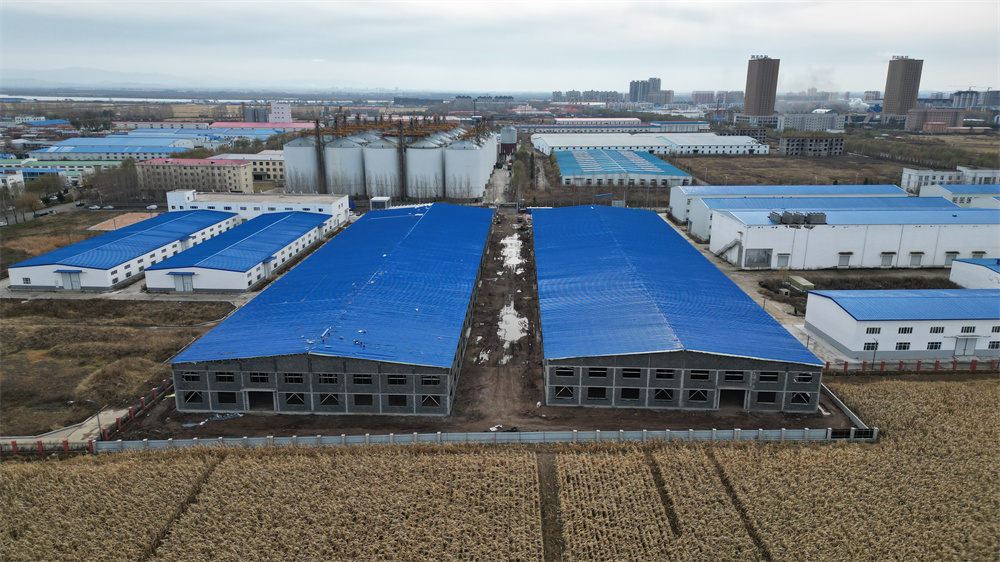 首页- J9集团国际站官网入口